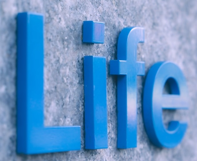 Whole Life Insurance